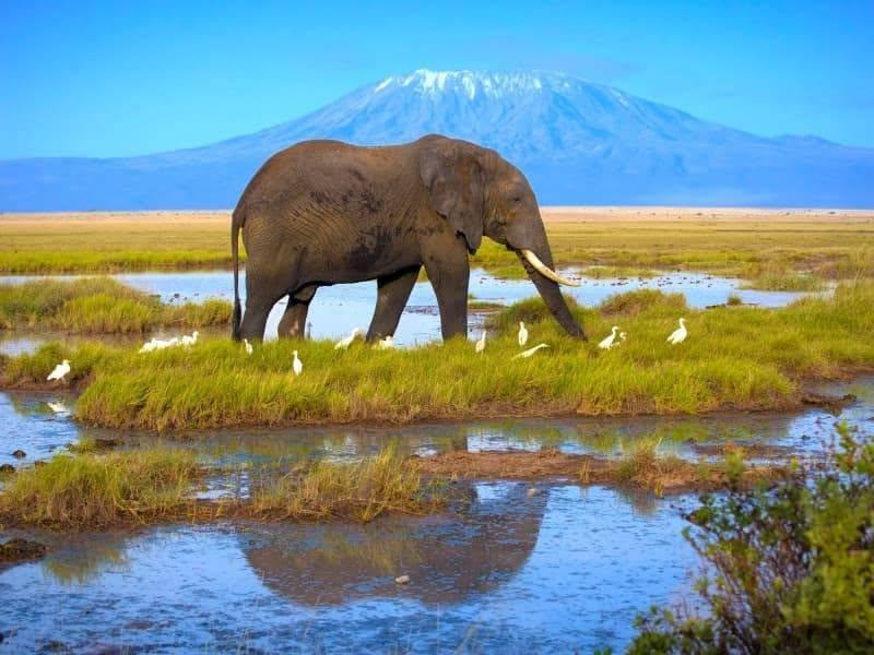 Tourisme en Côte d'Ivoire